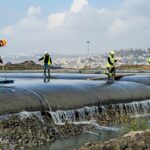 Izmit Körfezi'nde balık nüfusu arttı