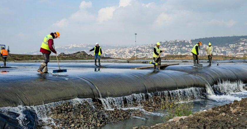 Izmit Körfezi'nde balık nüfusu arttı
