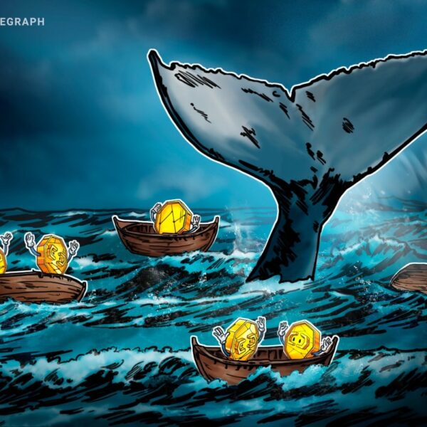 Bitcoin Balinaları Gerçekten Piyasayı Yönlendiriyor mu? Detaylı analiz