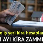 Kasım 2025 Kira Artış Açıklaması! Ev ve işyeri kiralarındaki (TÜFE) artış oranı TÜİK Kasım 2025 ne oldu, yüzde kaç oldu? Kira artış hesaplaması Kasım 2025